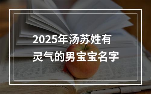 2025年汤苏姓有灵气的男宝宝名字