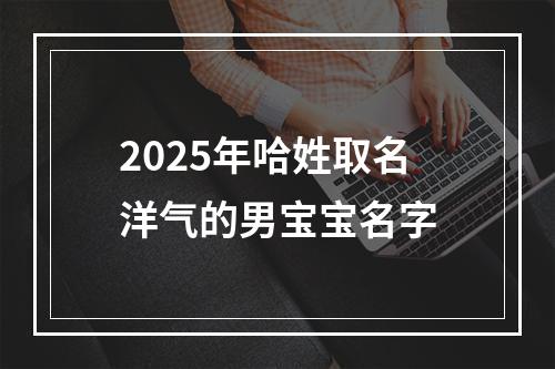 2025年哈姓取名洋气的男宝宝名字