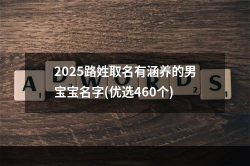 2025路姓取名有涵养的男宝宝名字(优选460个)