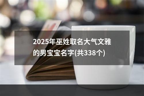 2025年巫姓取名大气文雅的男宝宝名字(共338个)