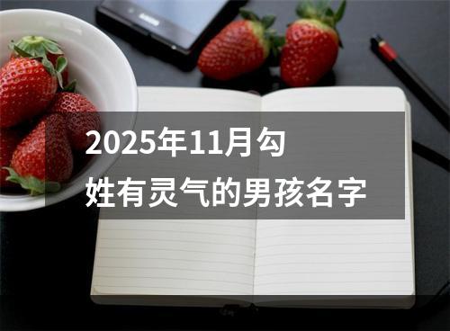 2025年11月勾姓有灵气的男孩名字