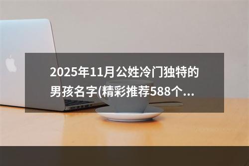 2025年11月公姓冷门独特的男孩名字(精彩推荐588个)