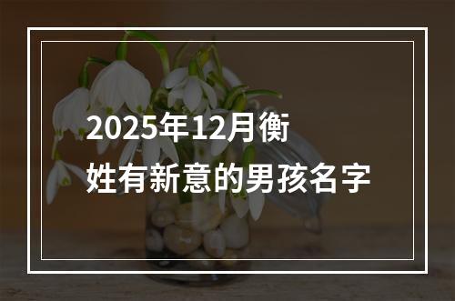 2025年12月衡姓有新意的男孩名字