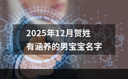 2025年12月贺姓有涵养的男宝宝名字