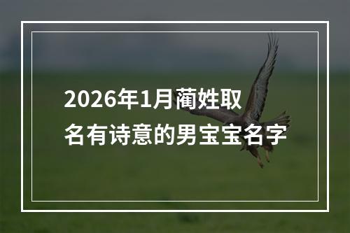2026年1月蔺姓取名有诗意的男宝宝名字