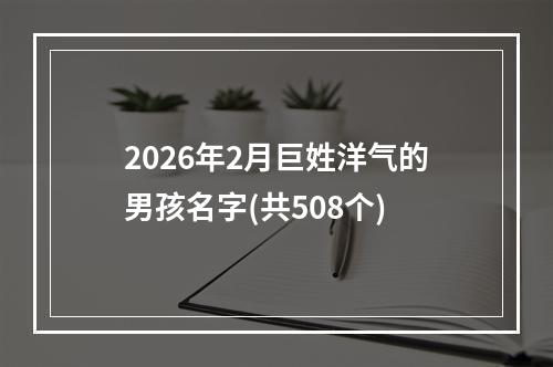 2026年2月巨姓洋气的男孩名字(共508个)