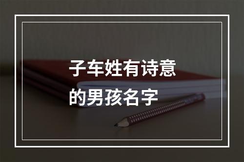 子车姓有诗意的男孩名字