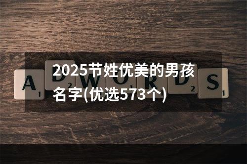 2025节姓优美的男孩名字(优选573个)
