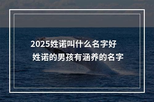 2025姓诺叫什么名字好 姓诺的男孩有涵养的名字