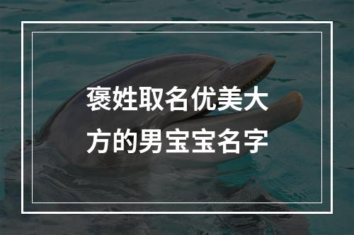 褒姓取名优美大方的男宝宝名字