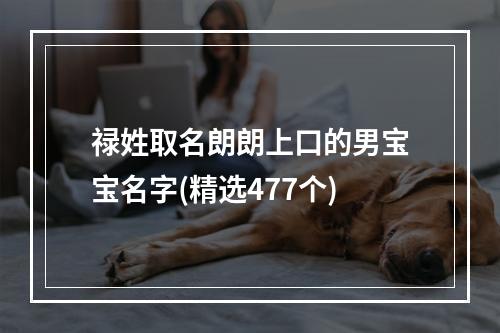 禄姓取名朗朗上口的男宝宝名字(精选477个)