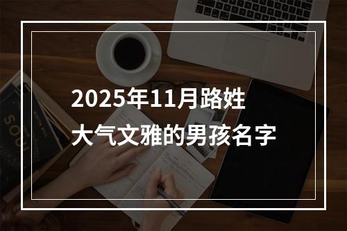 2025年11月路姓大气文雅的男孩名字