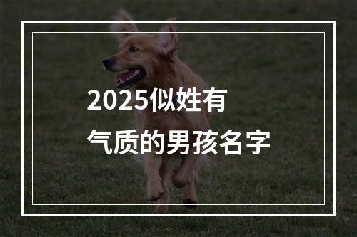 2025似姓有气质的男孩名字