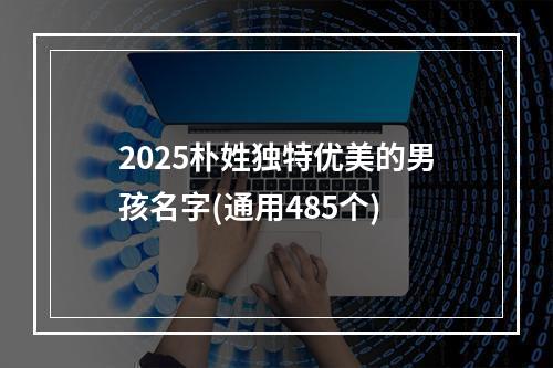 2025朴姓独特优美的男孩名字(通用485个)