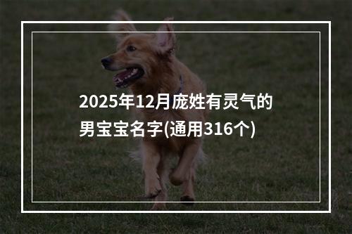 2025年12月庞姓有灵气的男宝宝名字(通用316个)