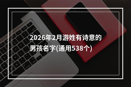 2026年2月游姓有诗意的男孩名字(通用538个)