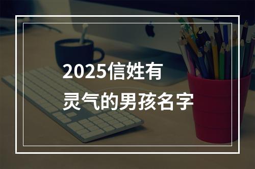 2025信姓有灵气的男孩名字