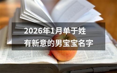 2026年1月单于姓有新意的男宝宝名字