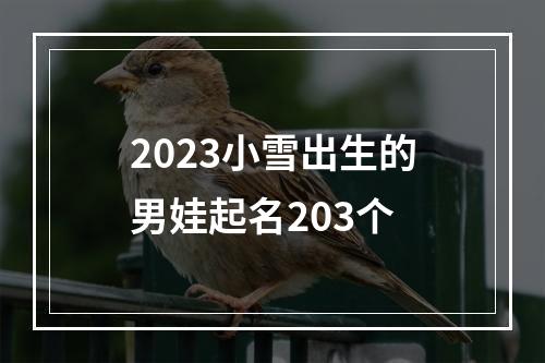 2023小雪出生的男娃起名203个