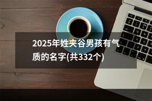2025年姓夹谷男孩有气质的名字(共332个)