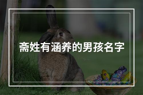 斋姓有涵养的男孩名字