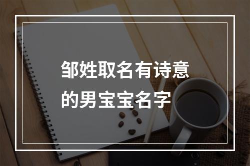 邹姓取名有诗意的男宝宝名字