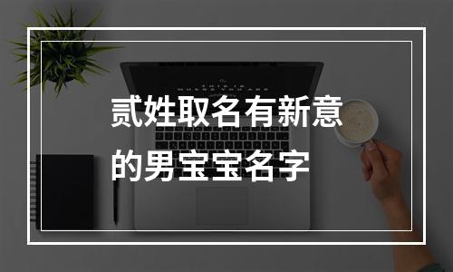 贰姓取名有新意的男宝宝名字