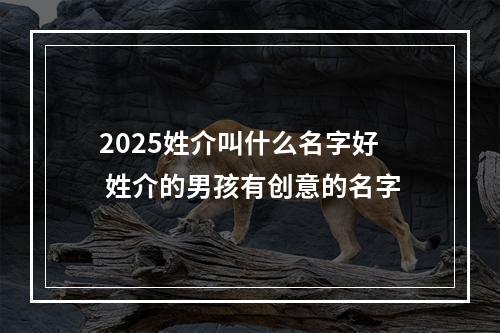 2025姓介叫什么名字好 姓介的男孩有创意的名字