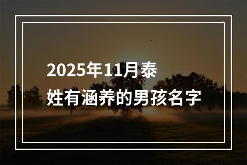 2025年11月泰姓有涵养的男孩名字