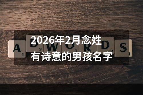 2026年2月念姓有诗意的男孩名字