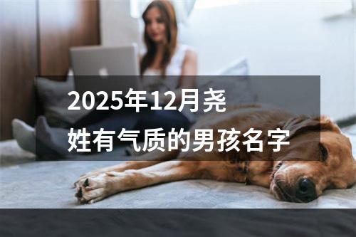 2025年12月尧姓有气质的男孩名字