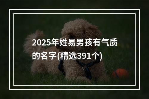 2025年姓易男孩有气质的名字(精选391个)