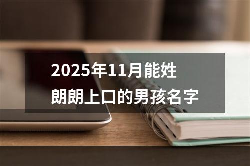 2025年11月能姓朗朗上口的男孩名字