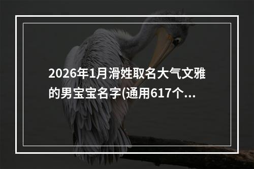 2026年1月滑姓取名大气文雅的男宝宝名字(通用617个)