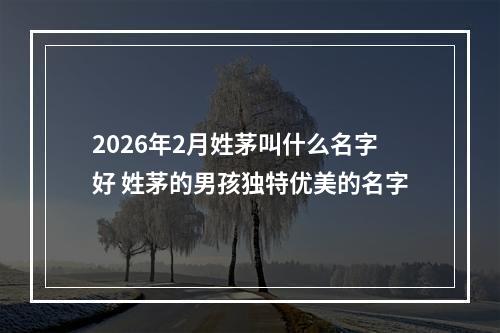 2026年2月姓茅叫什么名字好 姓茅的男孩独特优美的名字
