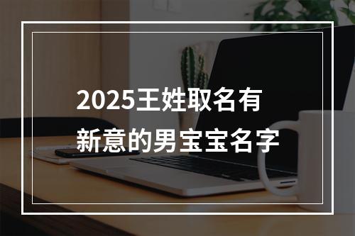 2025王姓取名有新意的男宝宝名字