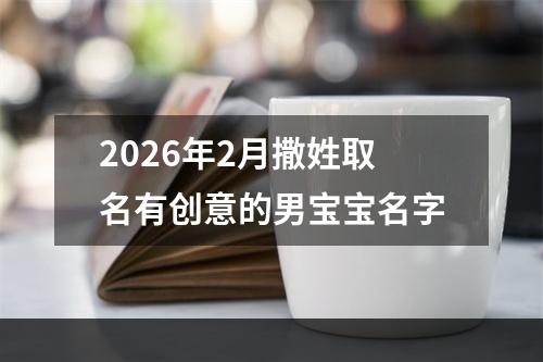 2026年2月撒姓取名有创意的男宝宝名字