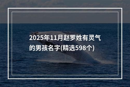 2025年11月赵罗姓有灵气的男孩名字(精选598个)