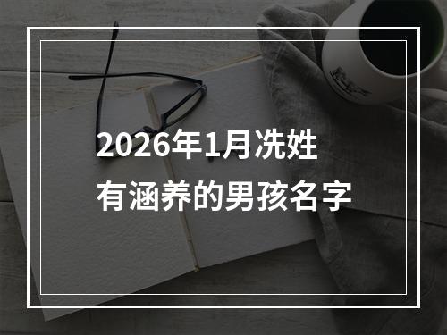 2026年1月冼姓有涵养的男孩名字
