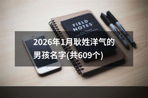 2026年1月耿姓洋气的男孩名字(共609个)