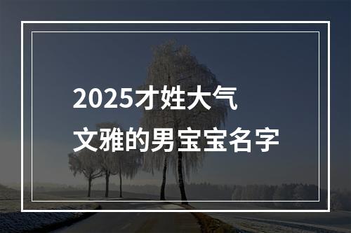 2025才姓大气文雅的男宝宝名字