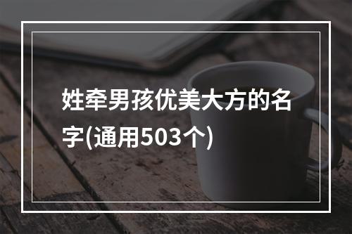 姓牵男孩优美大方的名字(通用503个)