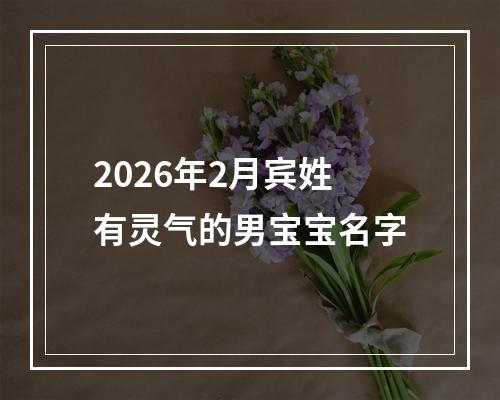 2026年2月宾姓有灵气的男宝宝名字
