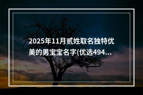 2025年11月贰姓取名独特优美的男宝宝名字(优选494个)