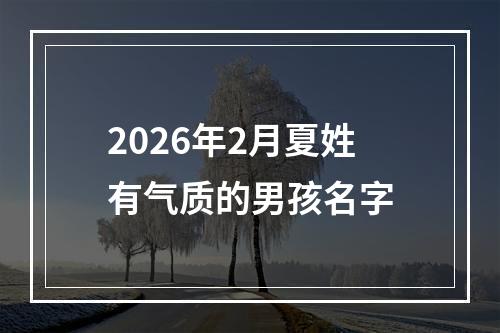 2026年2月夏姓有气质的男孩名字