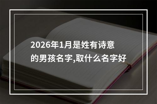 2026年1月是姓有诗意的男孩名字,取什么名字好