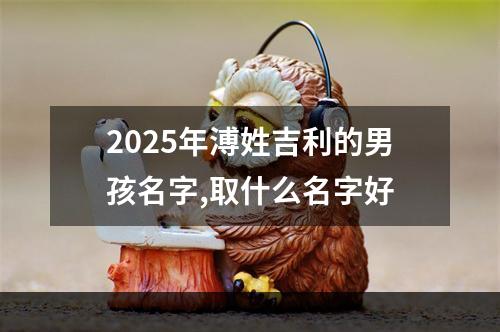 2025年溥姓吉利的男孩名字,取什么名字好