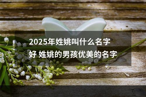 2025年姓姚叫什么名字好 姓姚的男孩优美的名字