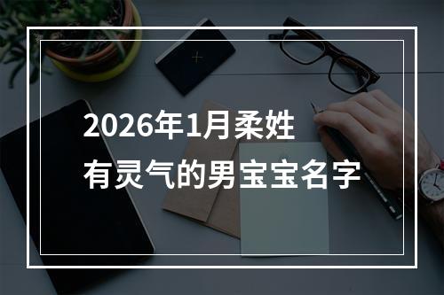 2026年1月柔姓有灵气的男宝宝名字