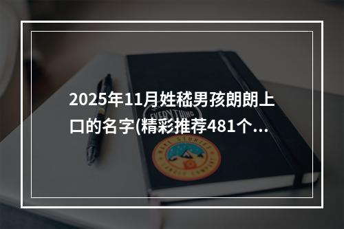 2025年11月姓嵇男孩朗朗上口的名字(精彩推荐481个)